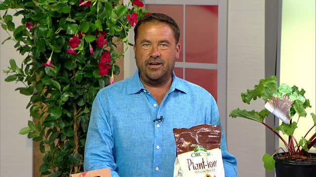 Garden Guy’s favorite summer veggie recipes