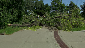 Minneapolis parks workers strike delays storm cleanup