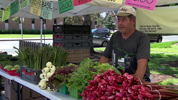 MN vegetable farmers struggle amid wet summer start