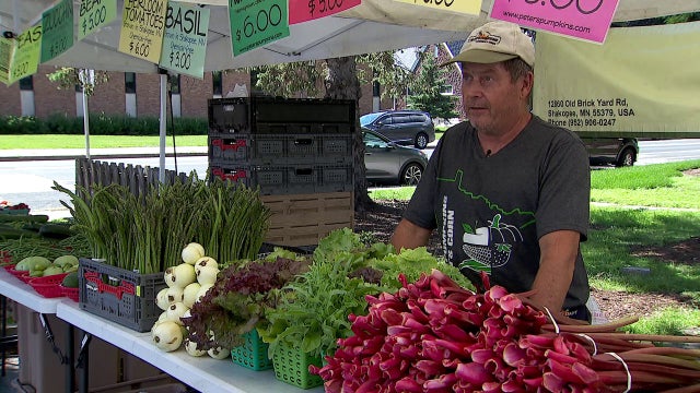 MN vegetable farmers struggle amid wet summer start