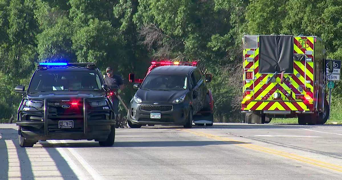 Edina police arrest 3 juveniles after stolen Kia crashes, gun found ...