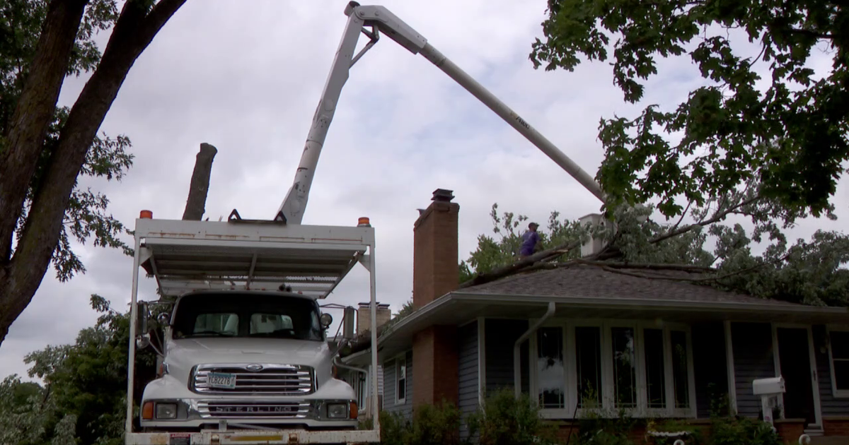 2 rounds of storms cause heavy damage in south Metro | FOX 9 ...