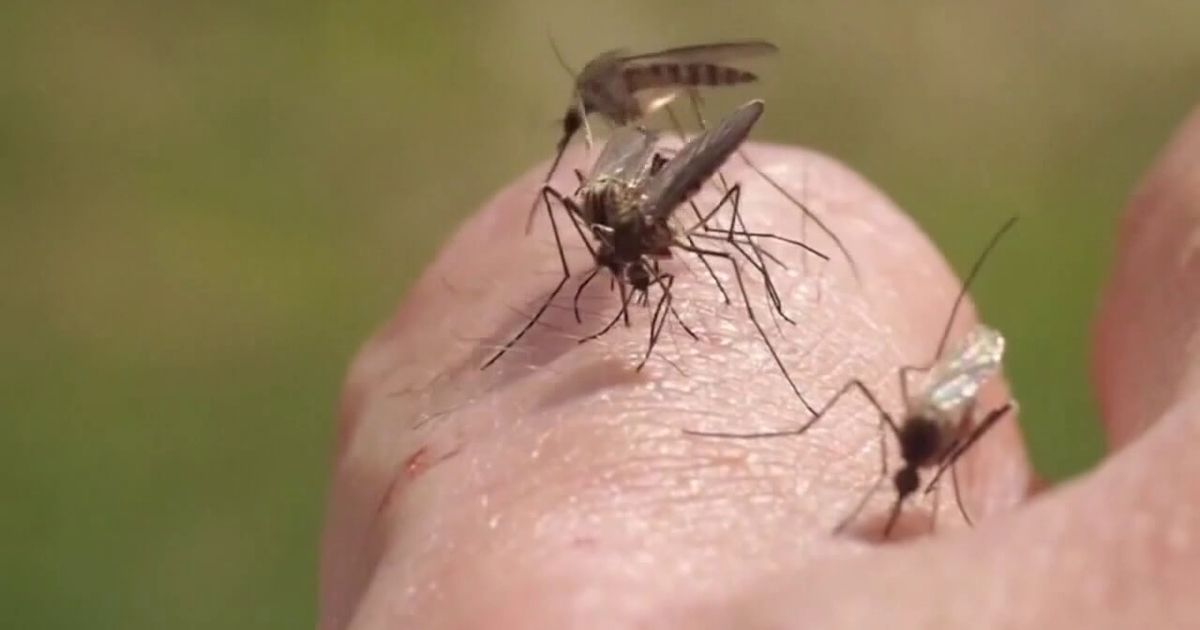 Minnesota's first West Nile virus case of 2026 confirmed in Polk County horse