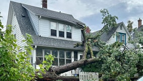 Sweltering temperatures in Twin Cities lead to rounds of severe storms and damage: Photos