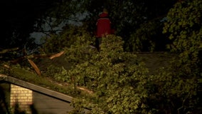 Tornadoes observed during severe storms in MN, WI