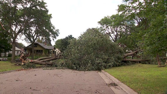 Cleanup continues in St. Paul after strong overnight storms