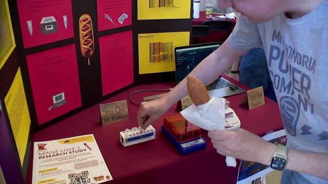 Minnesota State Fair: Corn dog genes entice snot study participants