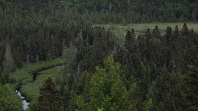 Backpacker dies hiking in Isle Royale National Park