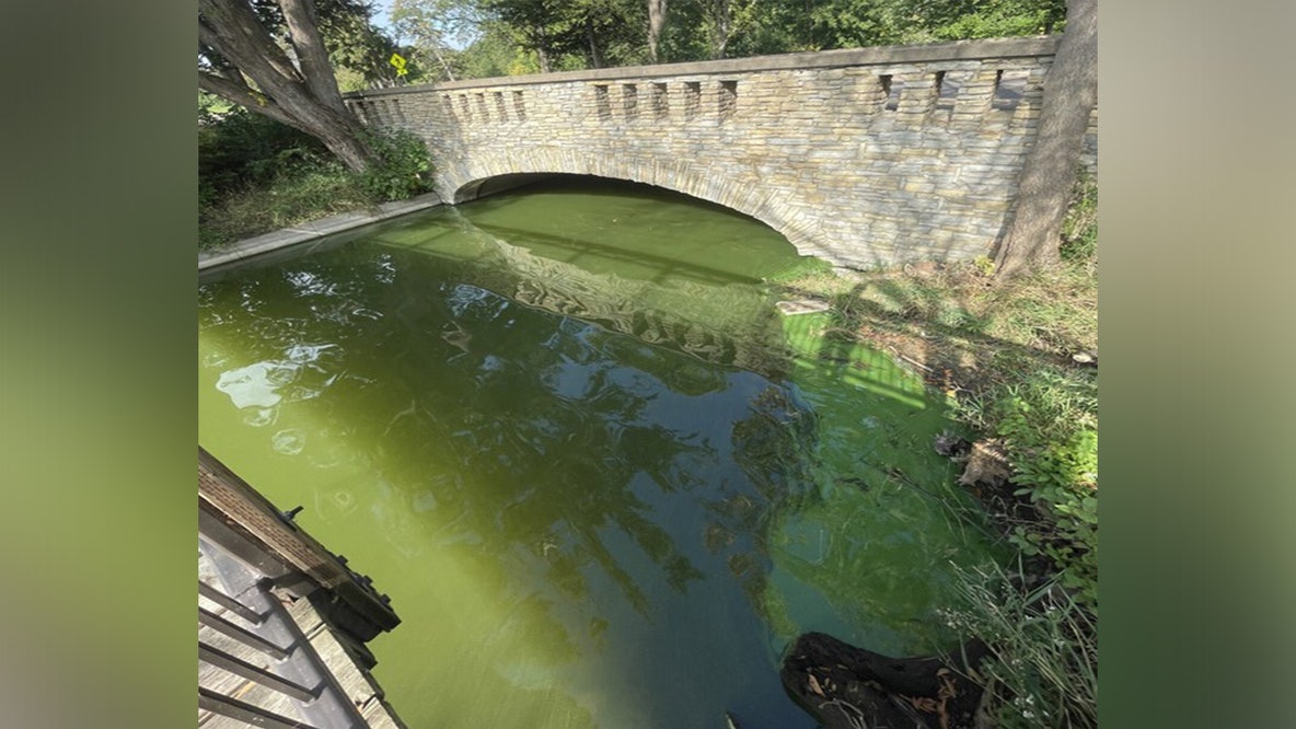 Lake Nokomis beaches under blue-green algae advisory