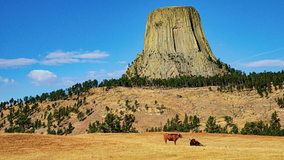 Eau Claire rock climber dies in fall at Devils Tower in Wyoming