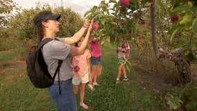 Minnesota sees warmest and driest September on record