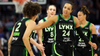 Minnesota Lynx open up upper level seats for Finals series