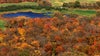 Fall colors in MN: Time is running out for leaf peeping