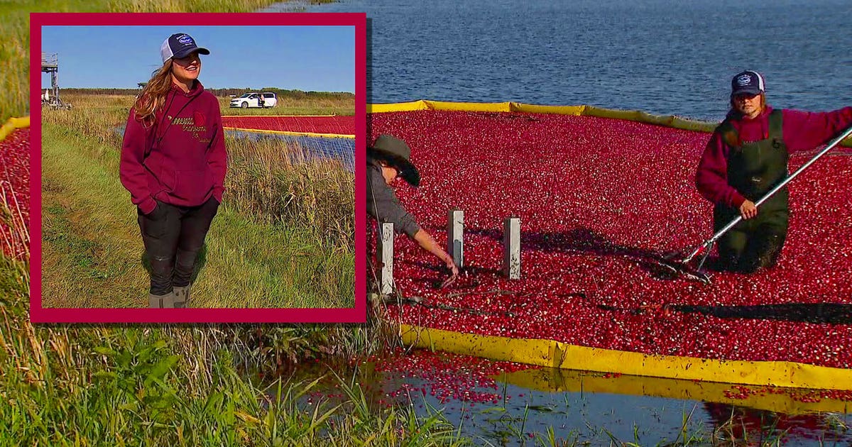 cranberry-farm.jpg?ve=1&tl=1