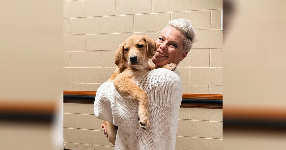 pnk-web.jpg?ve=1&tl=1