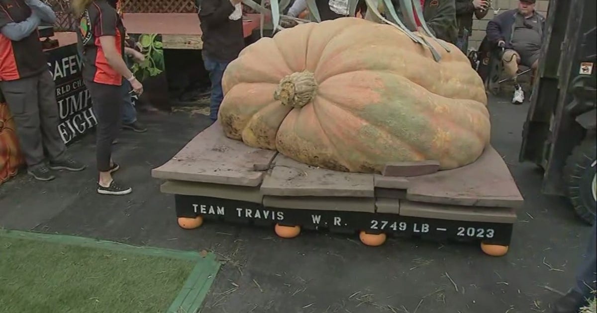 rudy-pumpkin.jpg?ve=1&tl=1