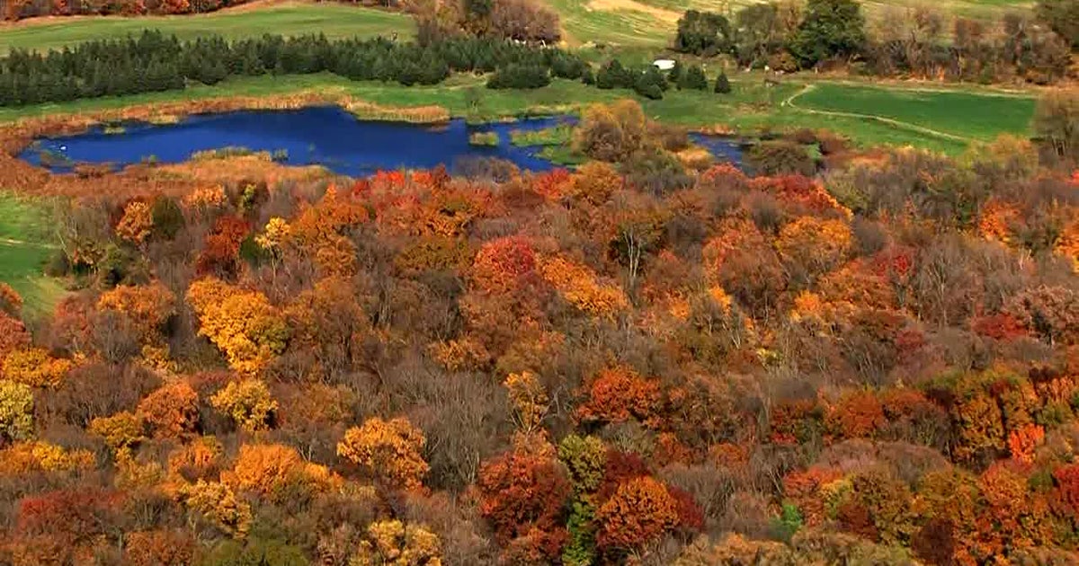 Fall colors in MN: Time is running out for leaf peeping | FOX 9 ...