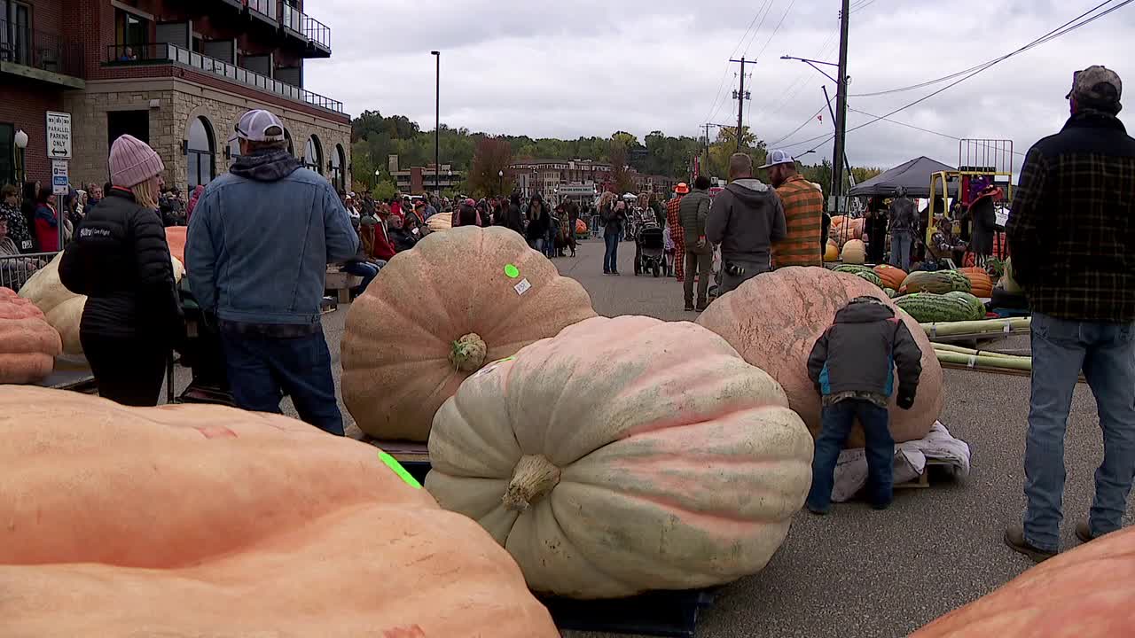 Things to do in Minnesota: 5 things to do this weekend (Oct. 10-12)