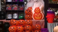 Things to do in Minnesota: 5 things to do this weekend (Oct. 16–18)