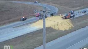 Truck tips over, spills corn all over highway near Rochester