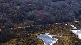 Eastern MN wildfire closes state forest, officials working on containment