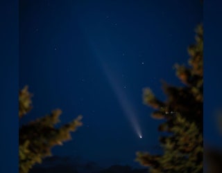 chocoNekoβ　 Comet Seeker Comet seeker - Wikipedia
