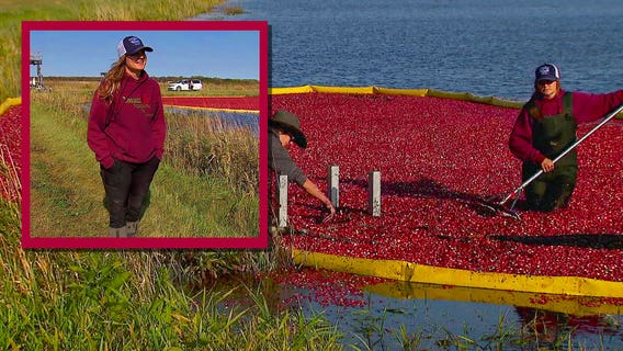 It's all in the family at Minnesota's only cranberry farm