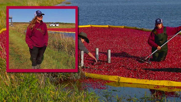 It's all in the family at Minnesota's only cranberry farm