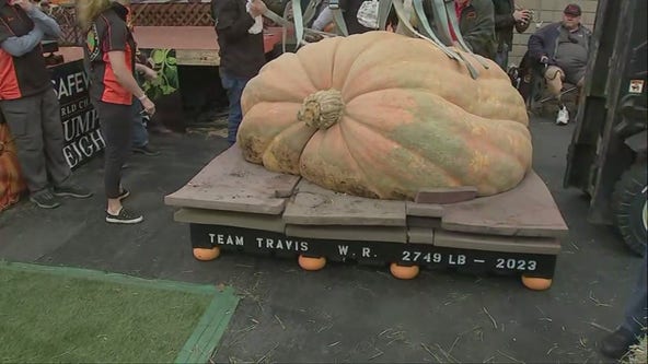 Minnesota pumpkin grower wins World Championship Pumpkin Weigh-Off