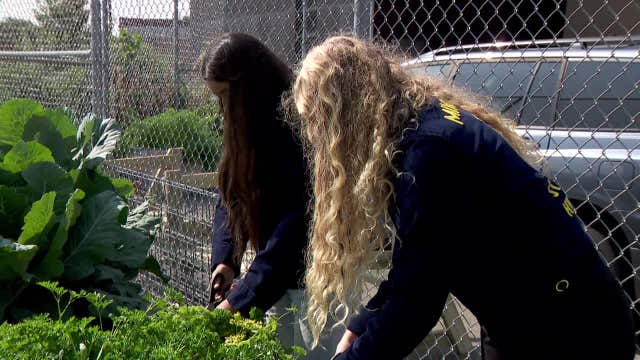 St. Paul Public Schools expands gardening program