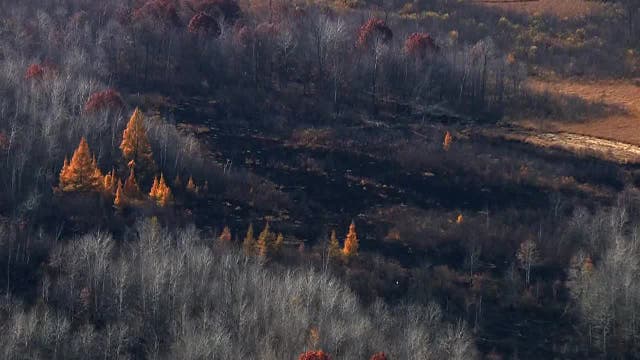 Minnesota wildfire that closed state forest now 20% contained