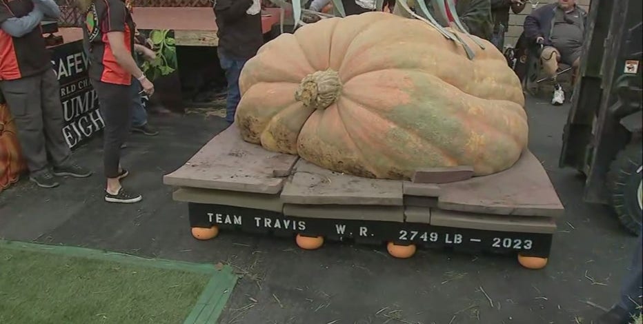 Minnesota pumpkin grower wins World Championship Pumpkin Weigh-Off