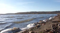 Lake water levels won't recover for years due to drought, DNR warns