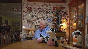 ‘Cow lady’ of Bernadotte has world's largest collection of cows