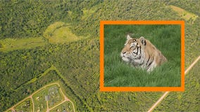 The Wildcat Sanctuary in northern MN buys 120 acres of land