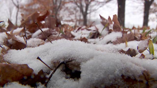 MN weather: Snow totals from Wednesday