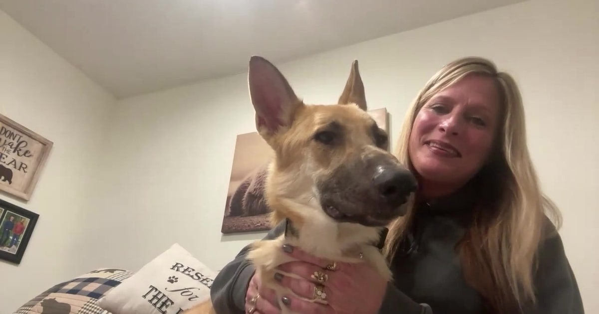 Minnesota family’s missing dog survives week alone in the wild | FOX 9 ...