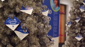 Catholic Charities Giving Tree opens this weekend at Mall of America