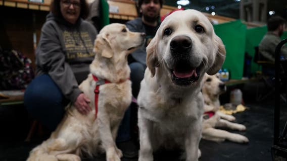 Things to do in Minnesota: 5 things to do this weekend (Jan. 3-5)