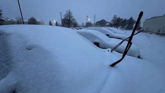 MN weather: Snow totals in Minnesota from Thursday's storm