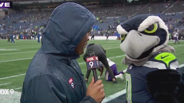 Seahawks mascot 'Blitz' video bombs FOX 9 live shot before Vikings game