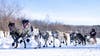 John Beargrease Sled Dog Marathon postponed due to ‘unsafe trail conditions’