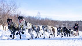 John Beargrease Sled Dog Marathon postponed due to ‘unsafe trail conditions’