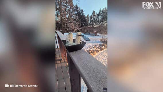 Noodles freeze mid-air during extreme cold in Minnesota