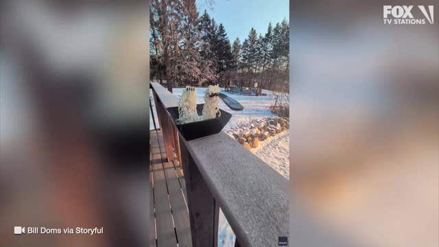 Noodles freeze mid-air during extreme cold in Minnesota