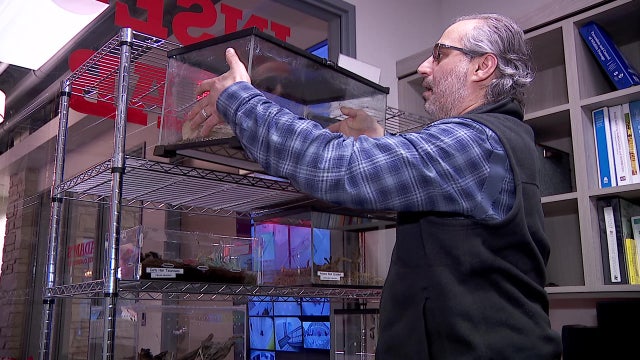 Pest control expert says cold weather not a factor come spring