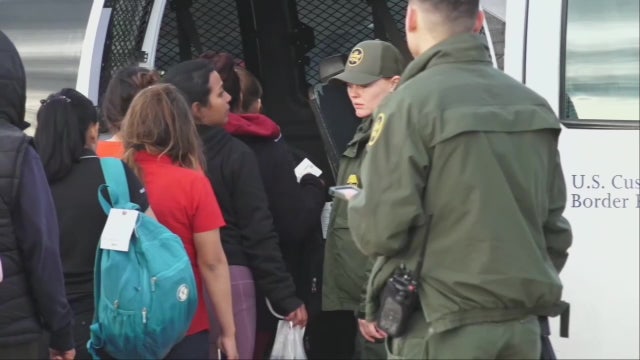 MN AG Ellison joins lawsuit over Trump birthright citizenship order