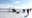 Car stuck in ice on White Bear Lake removed after a month