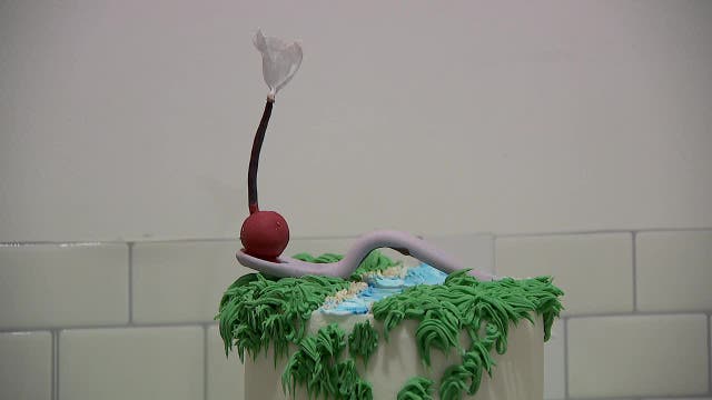 Twin Cities baker makes local landmarks out of cake