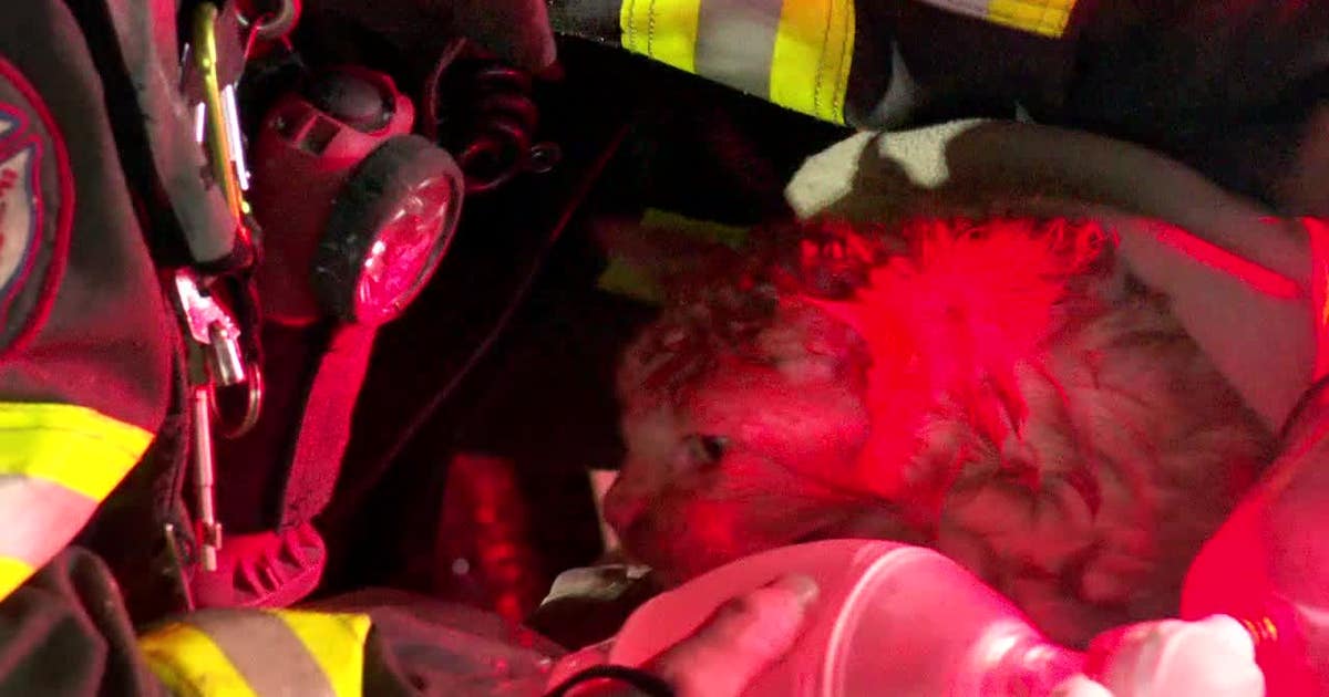 Minneapolis fire displaces 13 people, 1 cat | FOX 9 Minneapolis-St. Paul